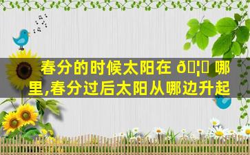 春分的时候太阳在 🦟 哪里,春分过后太阳从哪边升起